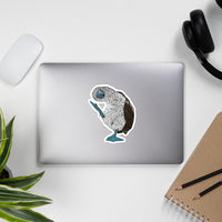 Blue footed boobie Bubble-free stickers