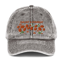 Umlaut & Kumquat Vintage Cotton Twill Cap